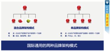 柔軟生活品牌營(yíng)銷策劃方案解析 以溫情策略塑造品牌靈魂